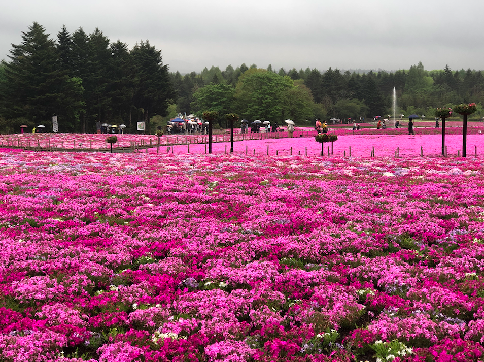 Screenshot 2019-06-26 at 9.10.31 PM.png