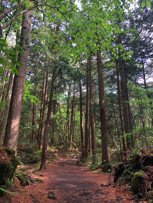 Screenshot 2019-06-26 at 9.13.39 PM.png