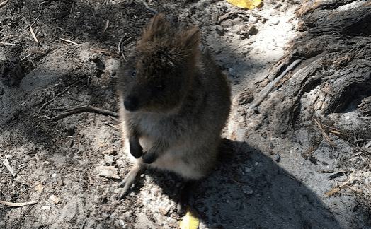 Screenshot 2019-09-22 at 10.01.09 PM.png