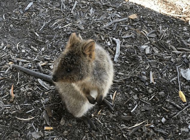 Screenshot 2019-09-22 at 9.54.05 PM.png