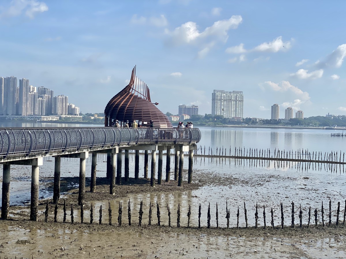Sungei Buloh, Singapore : Crocodiles, snakes & many more wildlife encounters!